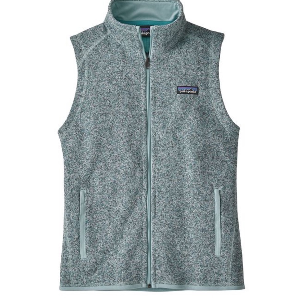 Blue Patagonia Fleece Vest